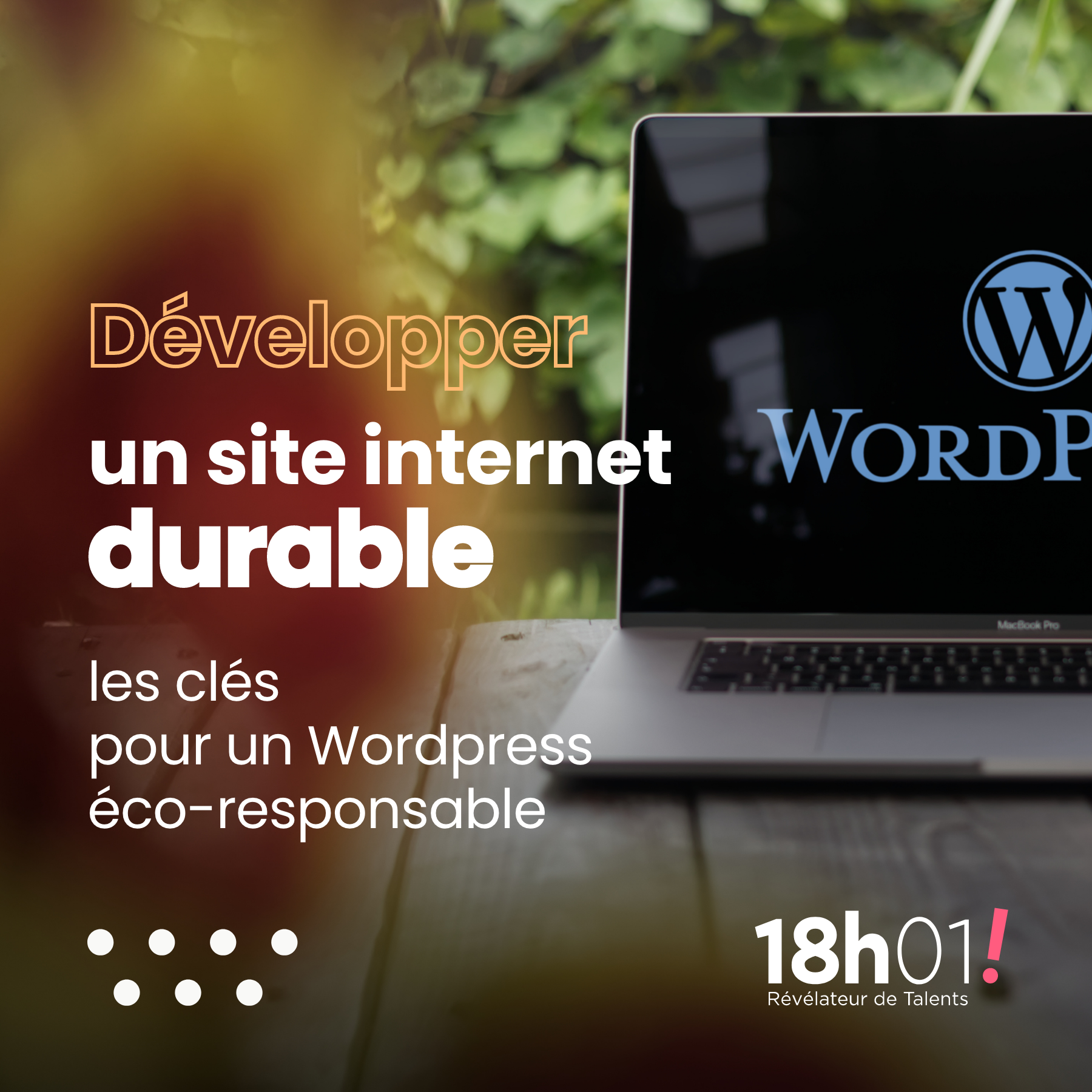 Wordpress vert